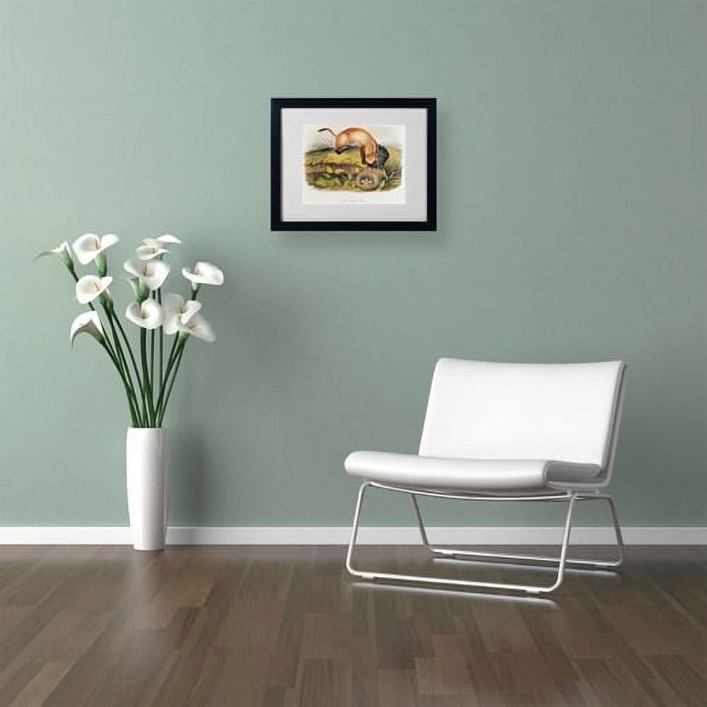 Trademark Fine Art "Black-Footed Ferret" Canvas Art by John James Audubon, Black Frame