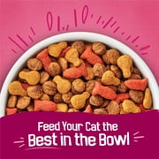 Purina Friskies Gravy Swirlers Dry Cat Food Flavors of Chicken, Salmon and Gravy, 3.15 lb Bag, 4 Pack