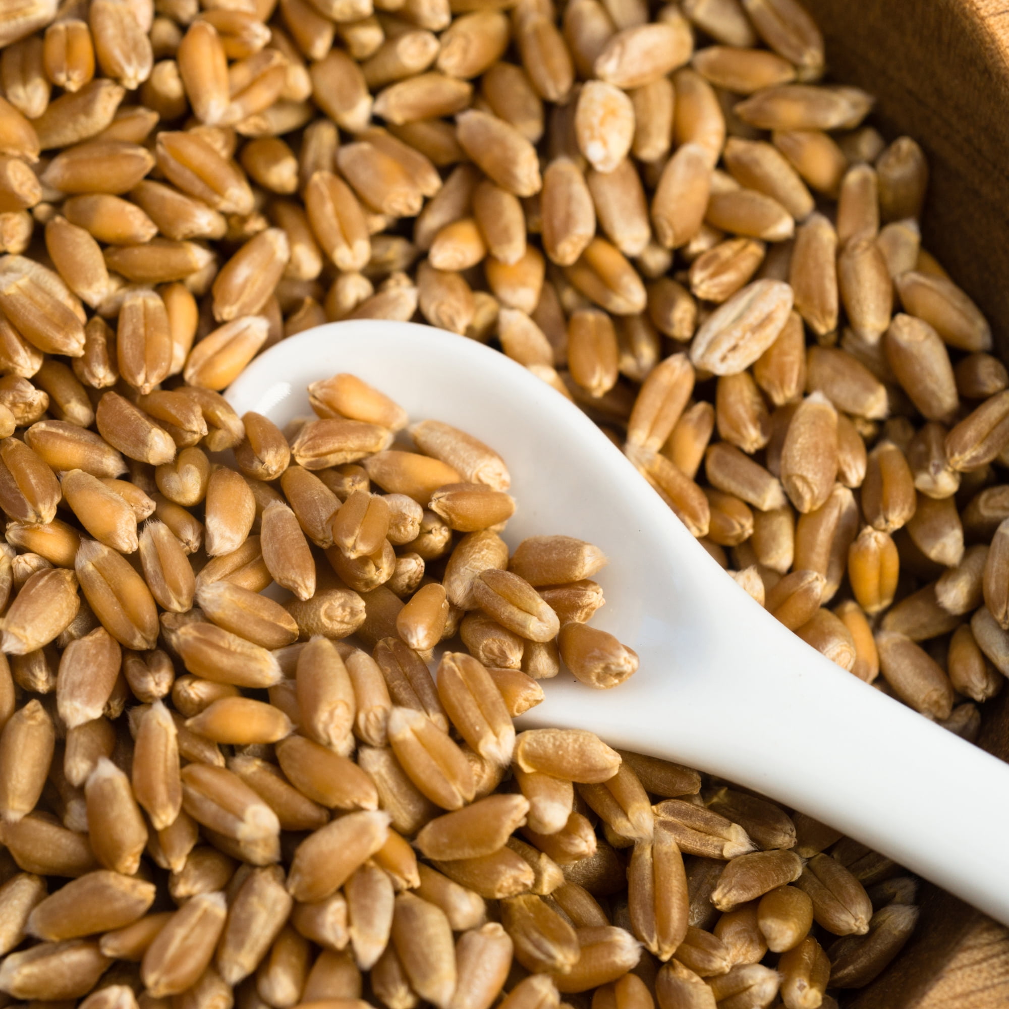 Chef's Banquet Emergency Food Supply Basics
