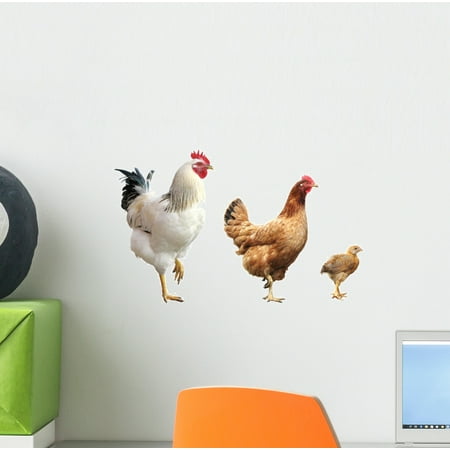 Roaster Decals Rooster Hen and Chicken Wall Decal by Wallmonkeys Peel and Stick Graphic (12 in W x 7 in H) WM349659 ()