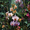 Exotic Orchid Jungle, variant on Victorian Streetscape Dusk Silhouette Watercolor Canvas Print, Vintage City Wall Art for Living Room Bedroom Hallway Office Study Hotel