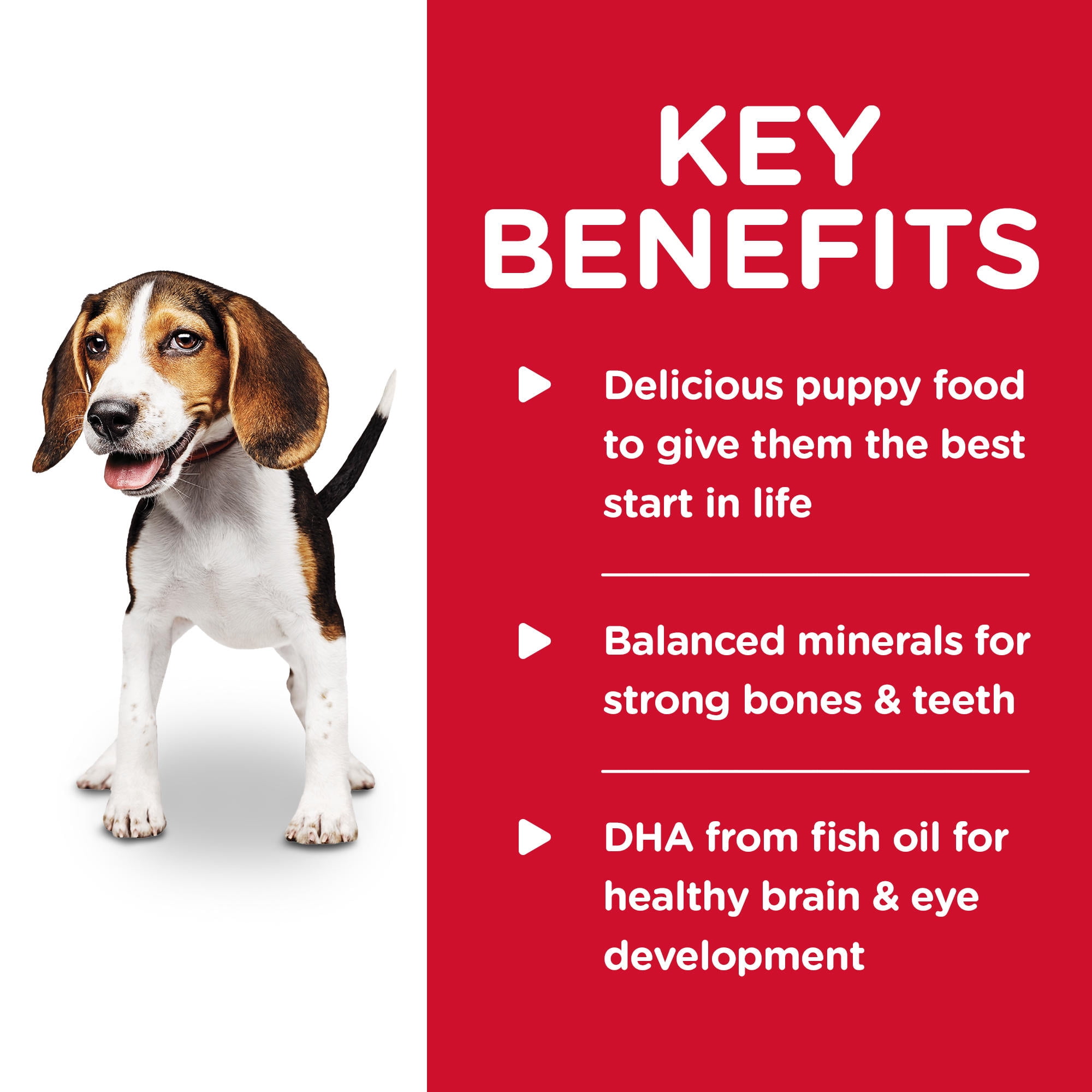 Hill's Science Diet Puppy Canned Dog Food, Chicken & Barley Entrée, 13 oz, 12 Pack wet dog food