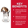 thumbnail image 4 of Hill's Science Diet Puppy Canned Dog Food, Chicken & Barley Entrée, 13 oz, 12 Pack wet dog food, 4 of 9