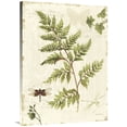 thumbnail image 1 of Global Gallery's 'Ivies and Ferns I' By Lisa Audit Stretched Canvas Wall Art, 1 of 1