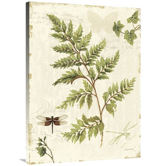 Global Gallery's 'Ivies and Ferns I' By Lisa Audit Stretched Canvas Wall Art