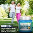 thumbnail image 3 of Herboganic Ashwagandha Sea Moss Gummies – Natural Stress & Immune Support, Energy & Wellness Boost – Vegan, 60 Count, 3 of 5