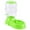 Green, variant on Portraits From Album Mariani (Paperback)