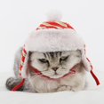 thumbnail image 3 of Sombrero de mascota ajustable de Navidad Colco Lei Feng Súper cálido, 3 of 8