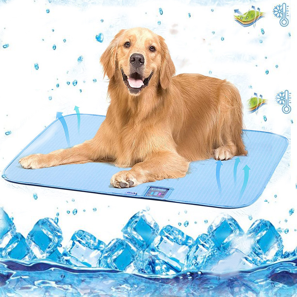How To Help Dogs Cool Off