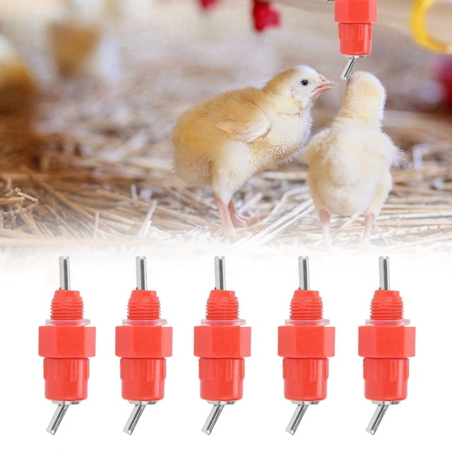 Bebedero para aves de corral, bebedero automático para pollos de 30 piezas, tetina de agua para aves de corral, equipo de alimentación para aves de corral, el mejor en su clase