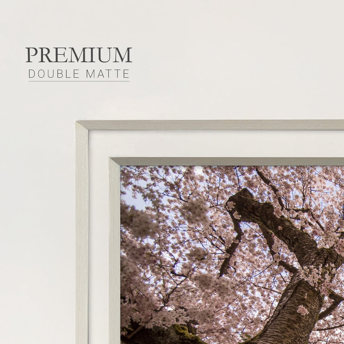 Spring's ArrivalPremium Framed Print