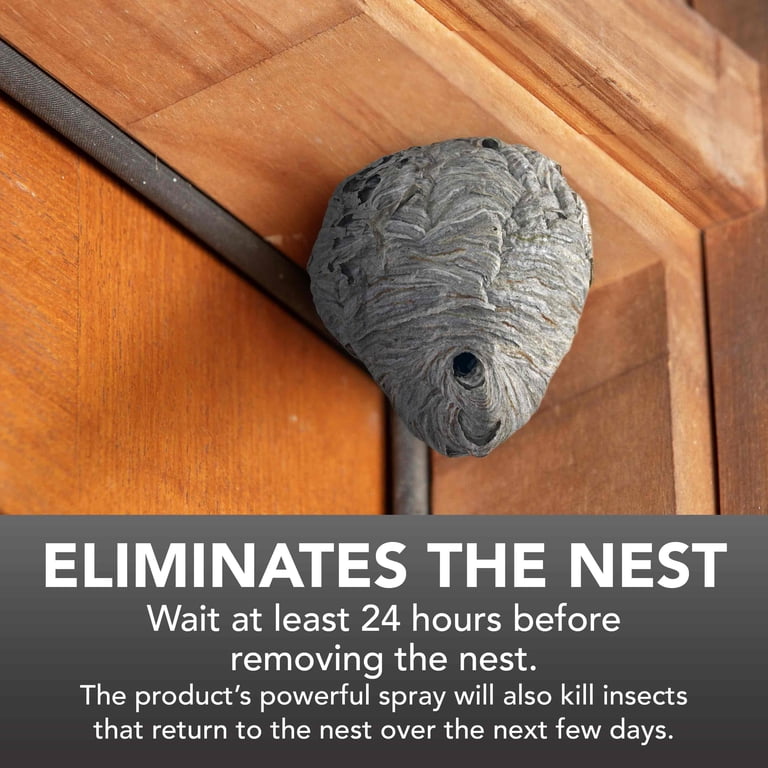 Eliminator Wasp & Hornet Killer, 2-Pack, 17 oz photo 5