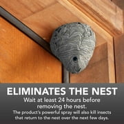 Eliminator Wasp and Hornet Killer Aerosol, 17 Ounces, 3 Pack