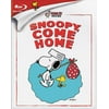 Pre-Owned Snoopy, Come Home