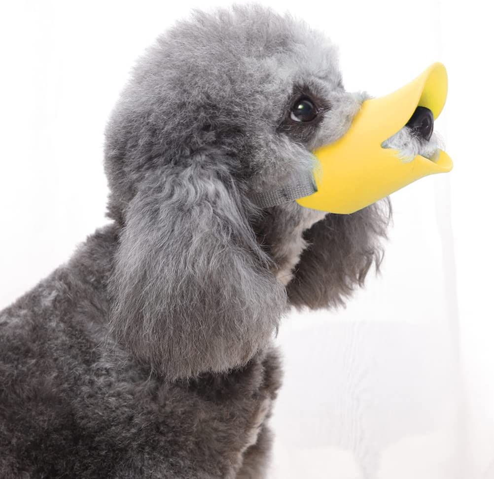 dog duck beak muzzle