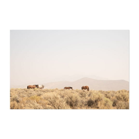 wild horses - Carson City Nevada Photography Horse Desert Wildlife Nature Rural Minimalist Scenic Unframed Wall Art Print 4 x 6 inches