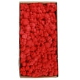 thumbnail image 1 of Musgo preservado Irfora Musgo preservado Decoración de pared Musgo preservado real No requiere mantenimiento Musgo preservado naturalmente para la pared del hogar Fiesta Festivales Artesanía Irfora Musgo preservado, 1 of 5