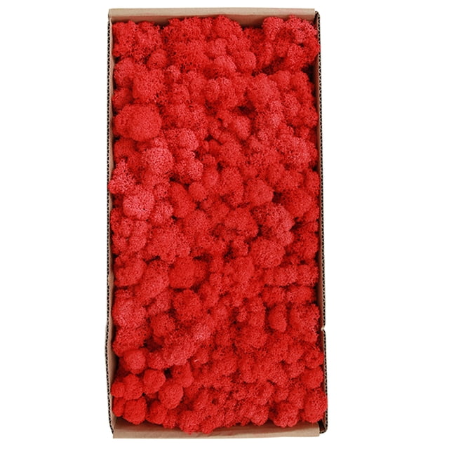 Musgo preservado Irfora Musgo preservado Decoración de pared Musgo preservado real No requiere mantenimiento Musgo preservado naturalmente para la pared del hogar Fiesta Festivales Artesanía Irfora Musgo preservado