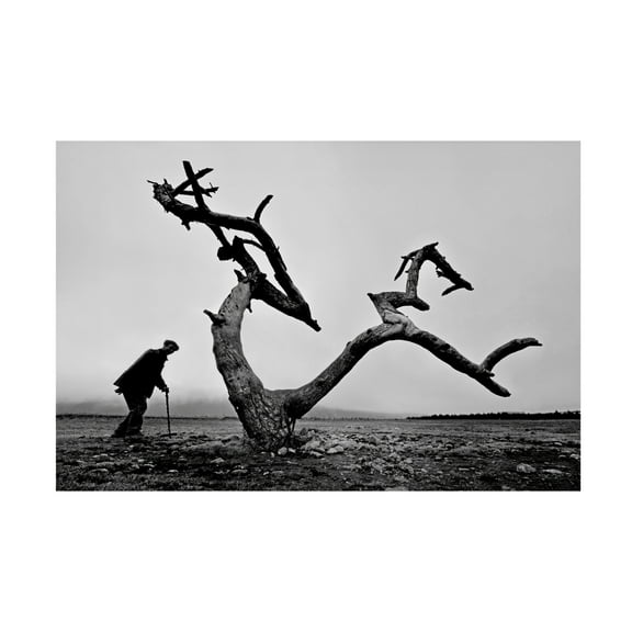 Canvas Wall Art - Wei Tang 'Old Man And Tree' Wall Art for Living Room, Bedroom, or Office D?cor by Trademark Fine Art - 19 x 12 Inches