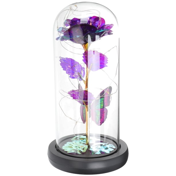 KAKOWELY Regalos de San Valentín para mujeres: Rosas eternas con cúpula de cristal, rosas preservadas con cúpula de cristal.