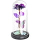 thumbnail image 1 of KAKOWELY Regalos de San Valentín para mujeres: Rosas eternas con cúpula de cristal, rosas preservadas con cúpula de cristal., 1 of 4