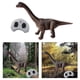 thumbnail image 2 of 2026 Realistic Kids RC Dinosaur Educational Roaring Sounds 360 Rotation Stunt Brachiosaurus, 2 of 5