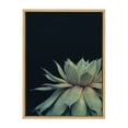 thumbnail image 3 of Kate and Laurel Sylvie Succulent 8 Framed Canvas Wall Art by Emiko and Mark Franzen of F2Images, 18x24 Natural, Dramatic Greenery Art for Wall, 3 of 7