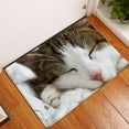 thumbnail image 1 of Cute pets Animal Pattern Anti Slip Suede Carpet Door Mat Outdoor Kitchen Living Room Floor Mat Carpet Home Decoration-week, 1 of 4