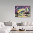 thumbnail image 3 of Trademark Fine Art 'Borealis Over Lake' Canvas Art by Wendra, 3 of 3