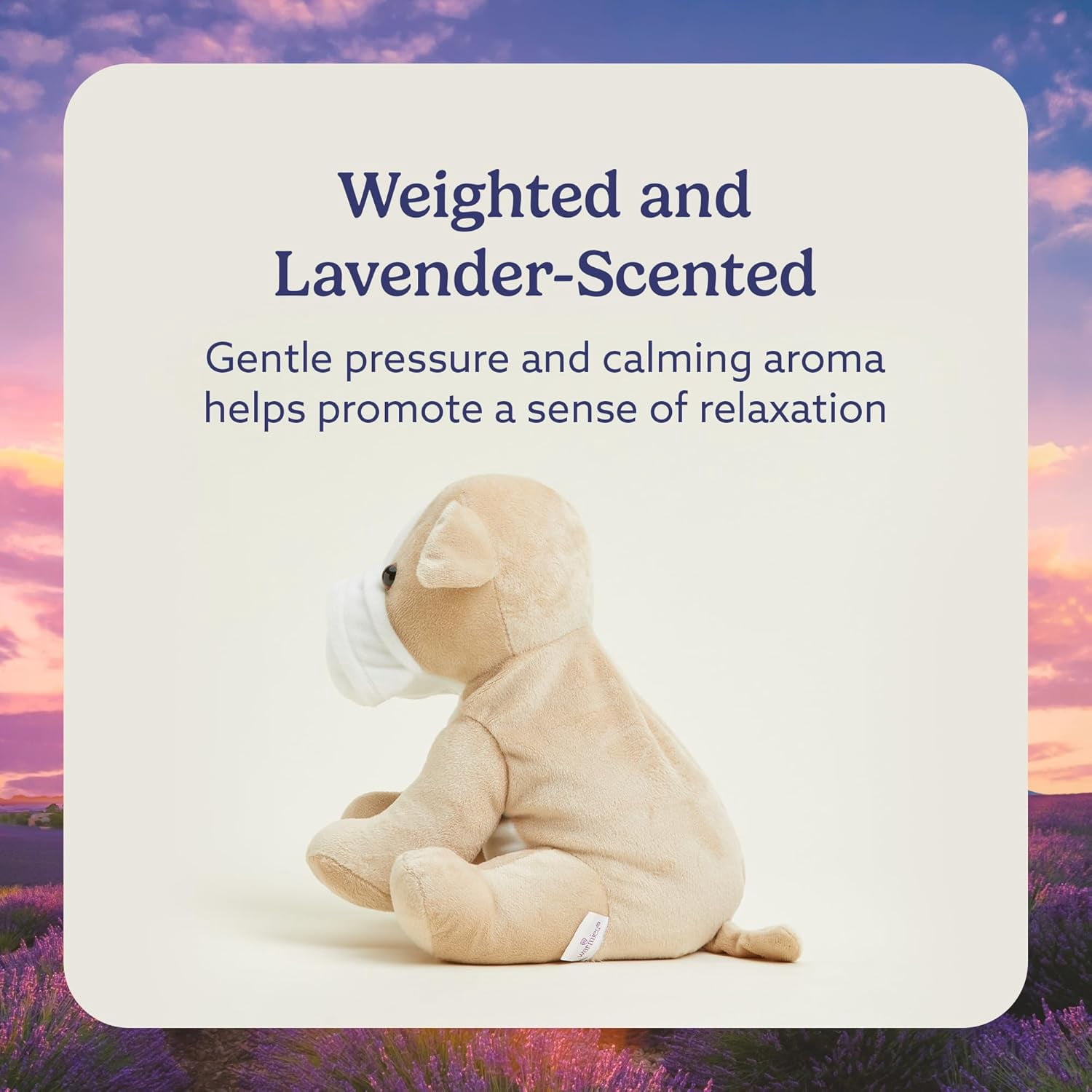 warmies 13” Bull Dog Stuffed Animal, Microwavable Heated Plushies and Weighted Soft Plush Toys