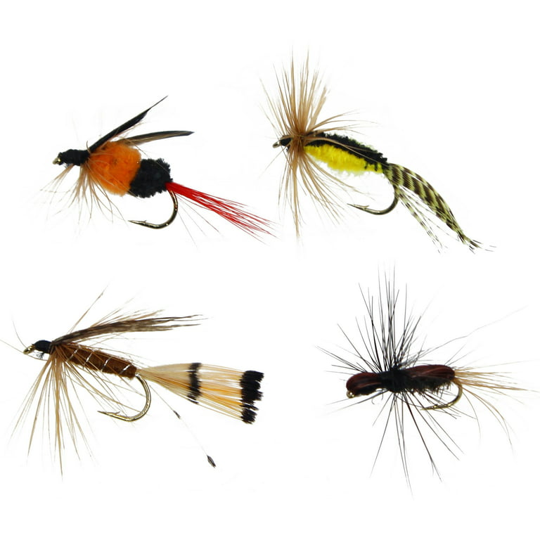 Essential Fly Fishing Flies Assortment | Dry, Wet, Nymphs, Streamers, Wooly  Buggers, Caddis | Trout, Bass Fishing Lure Set