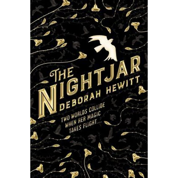 Pre-Owned The Nightjar (Paperback) 1250239826 9781250239822