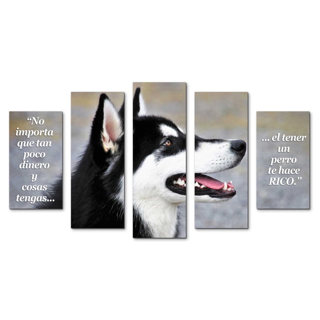 Cuadro decorativo para veterinarios Cuadros Abigail consultorio doctor perros husky animales minimalista moderno elegante juego de 5 piezas