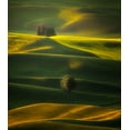 thumbnail image 2 of Zhang, Joan 12x13 White Modern Wood Framed Museum Art Print Titled - Golden Hours Of The Palouse, 2 of 4