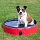 thumbnail image 4 of Plegable de plástico duro extra grande para perros, piscina para mascotas, perro plegable, 4 of 8