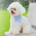 thumbnail image 3 of Pet Artist Comfy Corduroy Dog Collar with Cute Bowtie and Matching Leash set Adjustable Girl & Boy Dog Pet Puppy Necklace, 3 of 9