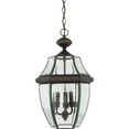thumbnail image 1 of Quoizel Newbury Large Hanging Lantern in Medici Bronze, 1 of 2
