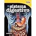 thumbnail image 3 of Shell Education 15486 El Sistema Digestivo - The Digestive System, 3 of 4