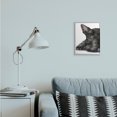 thumbnail image 2 of Stupell Industries Sleepy Scottish Terrier Portrait Adorable Pet Dog Grey Framed, 11 x 14, Design by George Dyachenko, 2 of 7