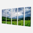 thumbnail image 2 of Thunderstorm Weather over Vineyards - Landscape Canvas Art Print, 2 of 3