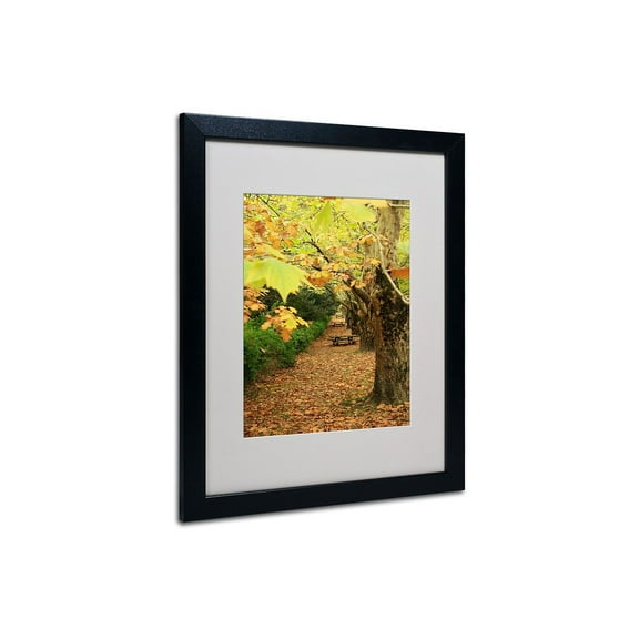 Trademark Fine Art "Autumn" Framed Canvas Art by Beata Czyzowska Young