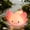 ARS-Axolotl, variant on Cute Night Light for Night-Light Girl Squishy NightLight 1/3 Hour Timer Kitty Light Dimmable Lamp Colorful Nightlight for Kawaii ()