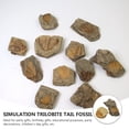 thumbnail image 2 of Miangastore 2Pcs Trilobite Paleontology Fun Science Ornaments Teaching Props, 2 of 8