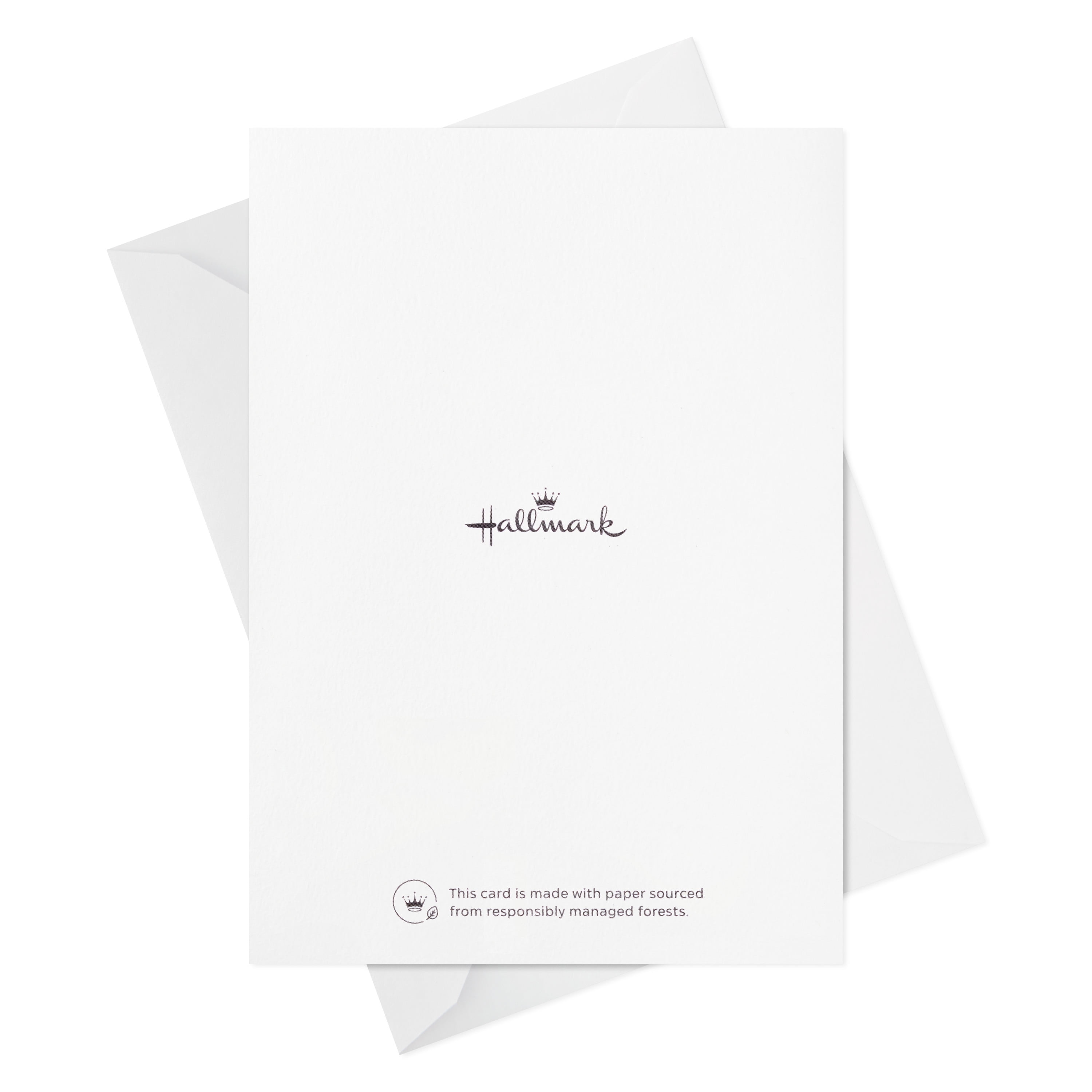 Hallmark Blank Note Cards ~ Cream Scalloped Edge Qty 24 w