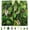 40x40, variant on 4 Pack 20"x20"Grass Wall Panels-Artificial Boxwood Panels for Greenery Wall Backdrop,UV-Protected Greenery Wall Backdrop Faux Greenery for Indoor Outdoor Decor,Garden Fence,Wedding, Screen
