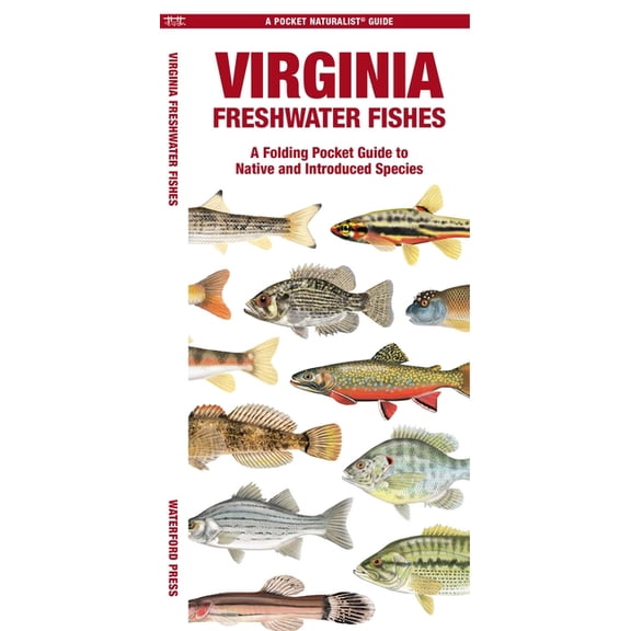 Nature Observation North America Virginia Freshwater Fishes, (Paperback)