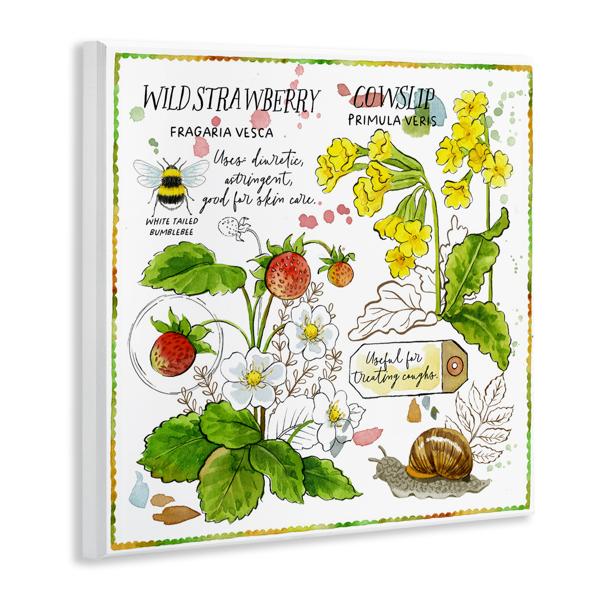 Stupell Industries Strawberry & Florals Uses Plants & Flowers Painting Unframed Art Print Wall Art, 12 x 12