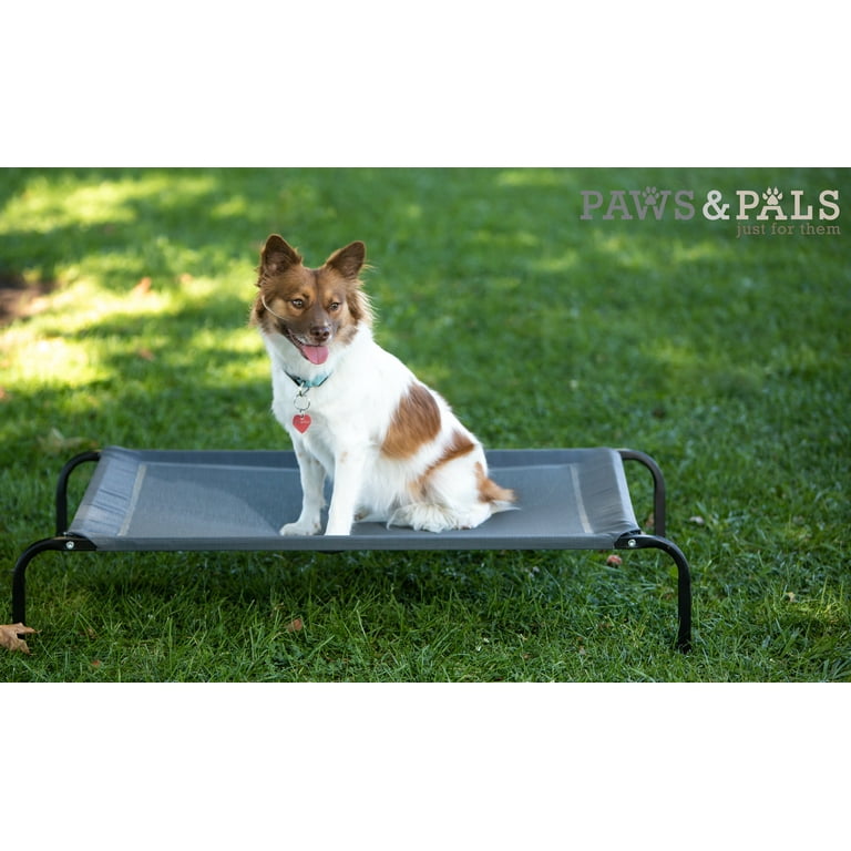 Paws and pals clearance elevated pet bed