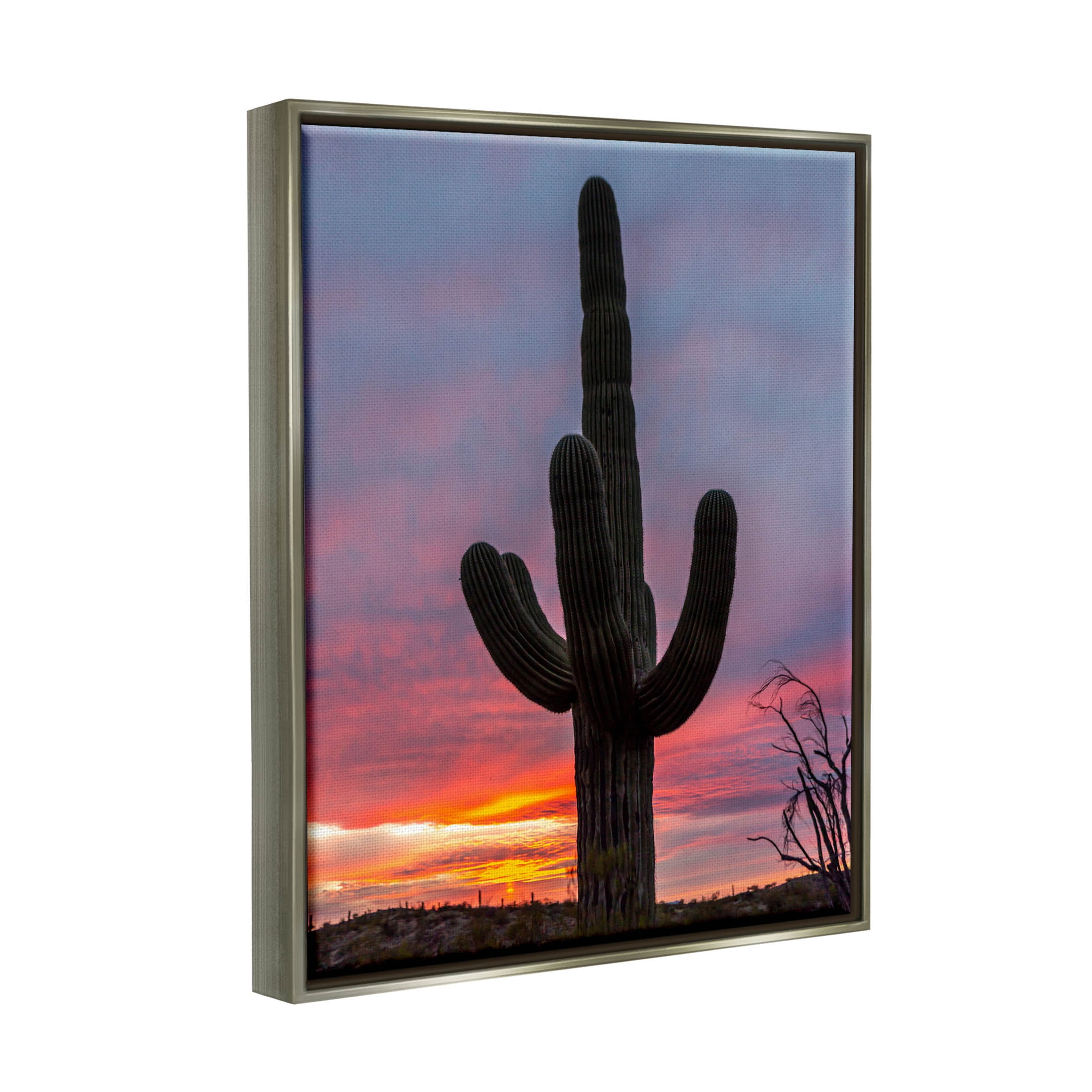 Looming Desert Cactus Silhouette Landscape Photograph Luster Gray Framed Art Print Wall Art