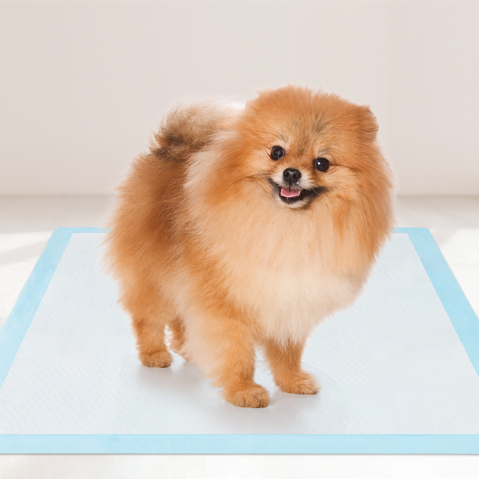 Gymax 24''x 17''(300 Counts) Dog Potty Training Pads Puppy Pee Pads w/ Quick-Drying